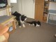 Thumbs/tn_Bild 027.jpg